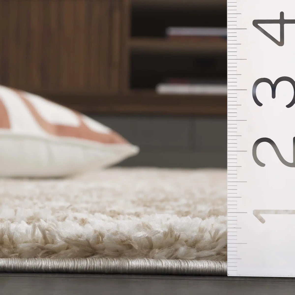 Safavieh Tahoe Shag 4'-0" x 6'-0" Rug in Ivory / Gold
