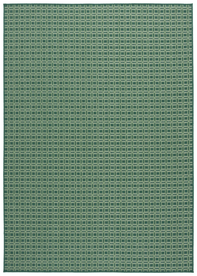 Safavieh Terrace 800 4'-0" x 6'-0" Rug in Dark Green / Light Green