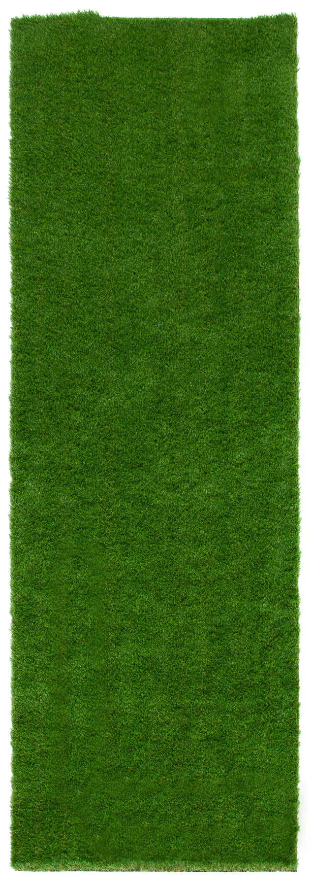 Safavieh Turf 3'-3" x 10'-0" Rug in Green