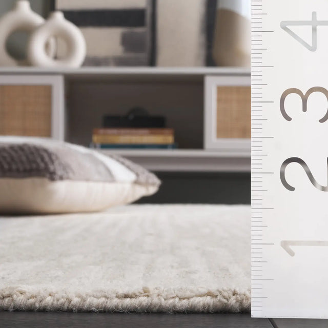 Safavieh Ebony 4'-0" x 6'-0" Rug in Grey / Ivory