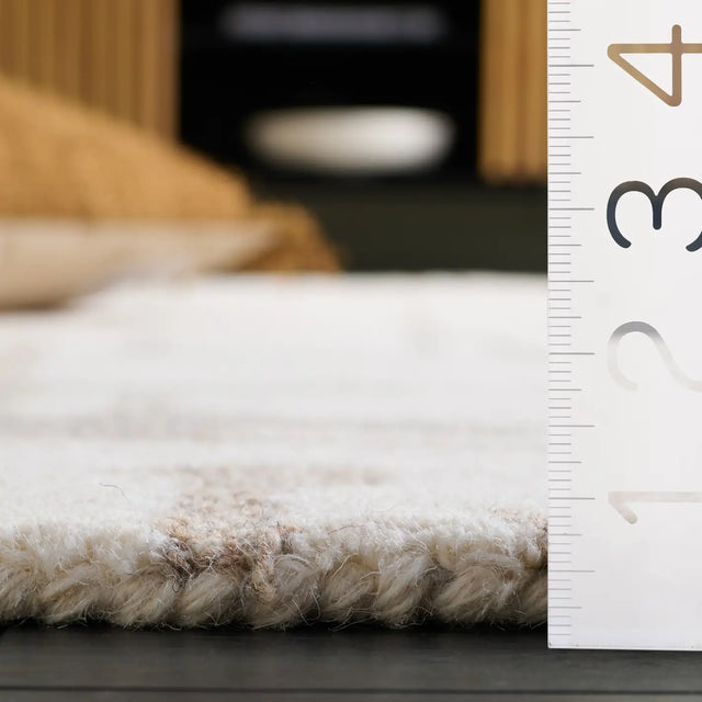 Safavieh Rodeo Drive 4'-0" x 6'-0" Rug in Natural / Ivory