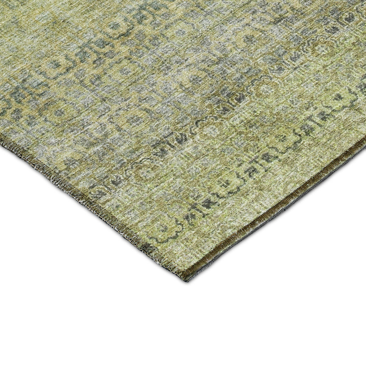Dalyn Burano BU12 Aloe Rug corner detail