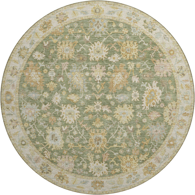 Dalyn Hatay HY2 Aloe Rug round rug