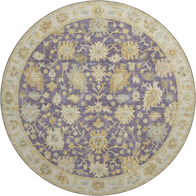 Dalyn Hatay HY2 Eggplant Rug round rug