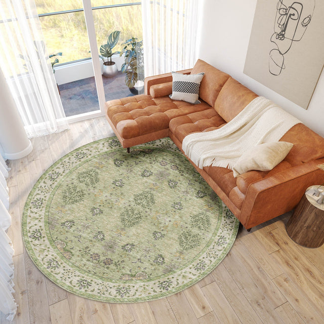 Dalyn Hatay HY9 Aloe Rug shown in a room