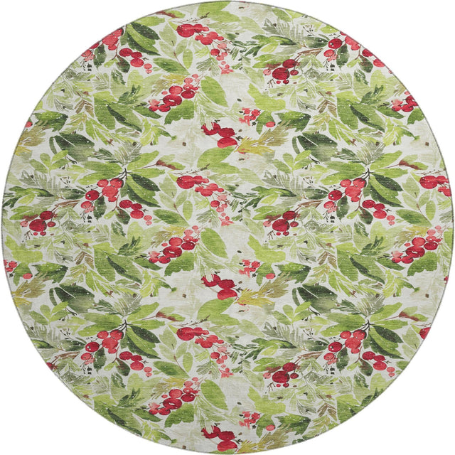 Dalyn Merry & Bright MY24 Aloe Rug round rug