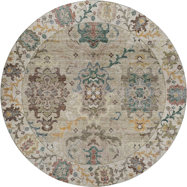 Dalyn Silk Road SR5 Putty Rug round rug
