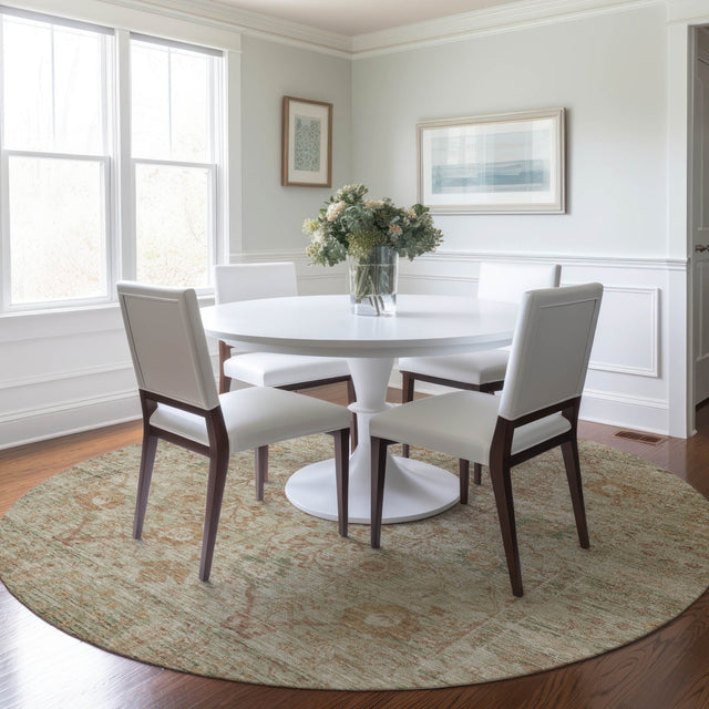 Dalyn Solace SL9 Beige Rug shown in a room