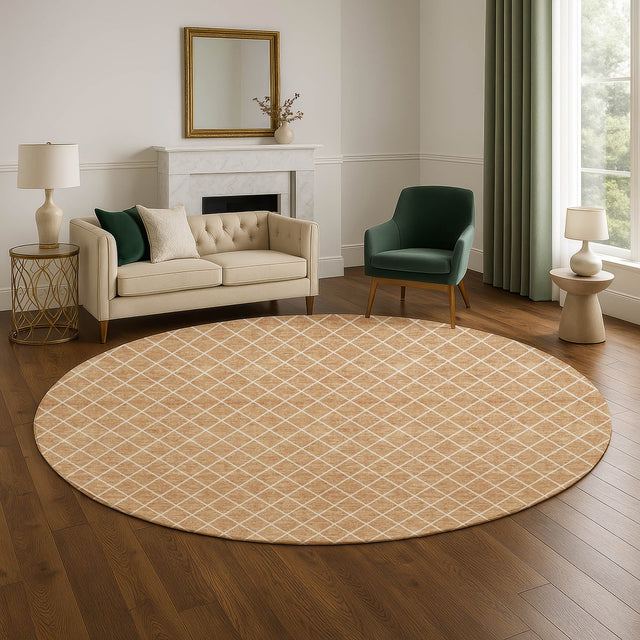 Dalyn The Reserve TR15 Copper Rug shown in a room