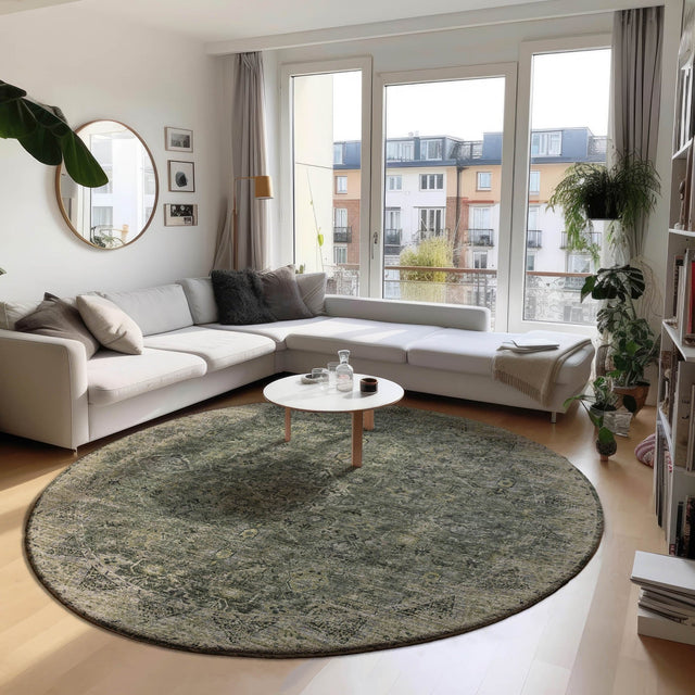 Dalyn Tuscany TU12 Green Rug shown in a room