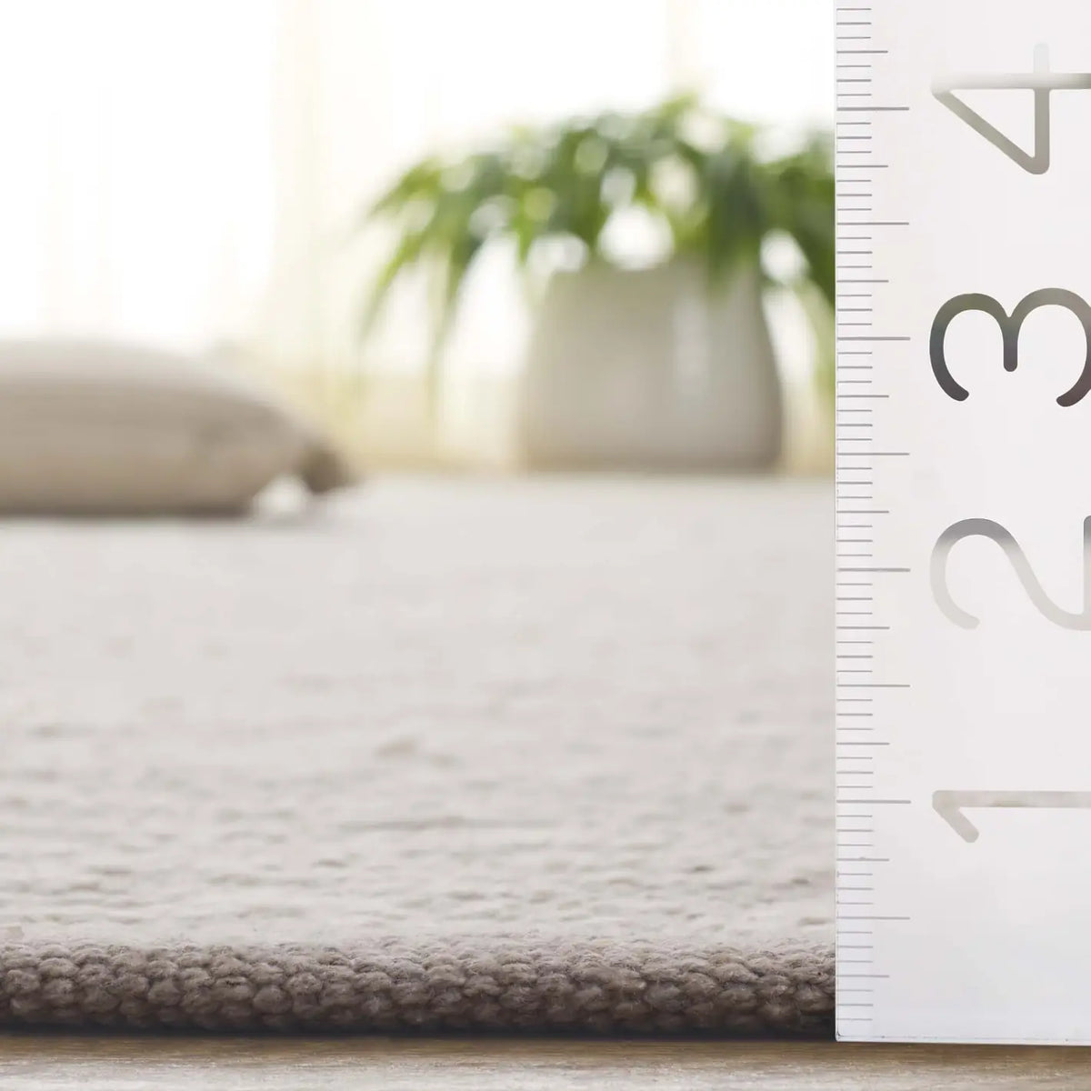 Safavieh Montauk 4'-0" x 6'-0" Rug in Light Grey / Ivory