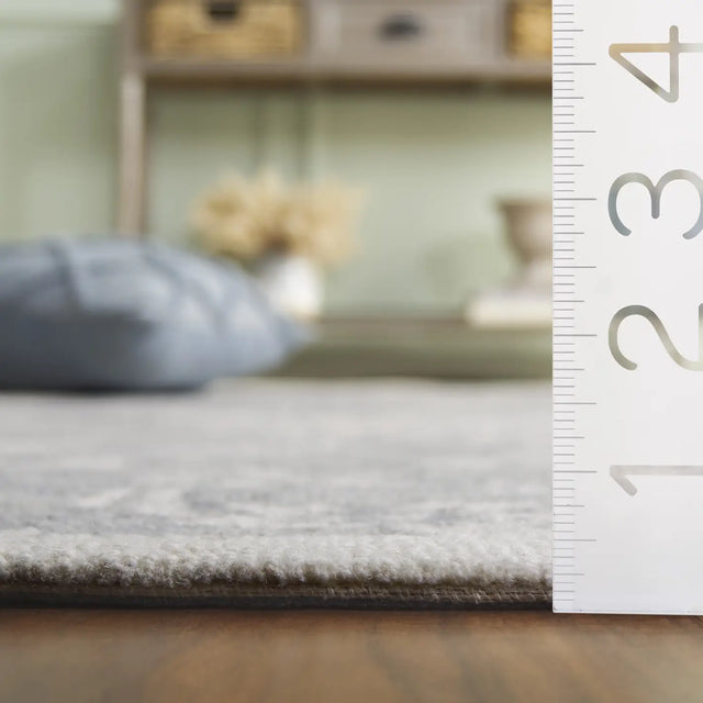 Safavieh Jardin 4'-0" x 6'-0" Rug in Grey / Ivory