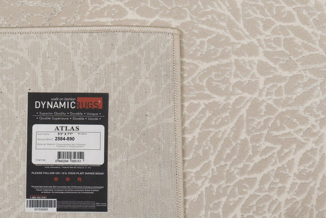 Dynamic Rugs Atlas 2584 Power Loomed Modern Beige/Grey Rug