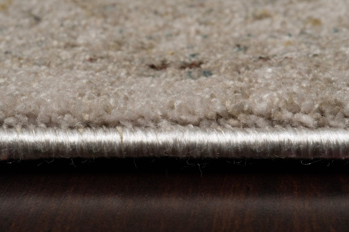 Dynamic Rugs Bloomfield 19606 Power Loomed Traditional Beige/Grey/Cream Rug