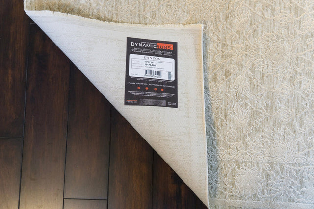 Dynamic Rugs Canyon 15473 Power Loomed Traditional Beige/Light Beige Rug