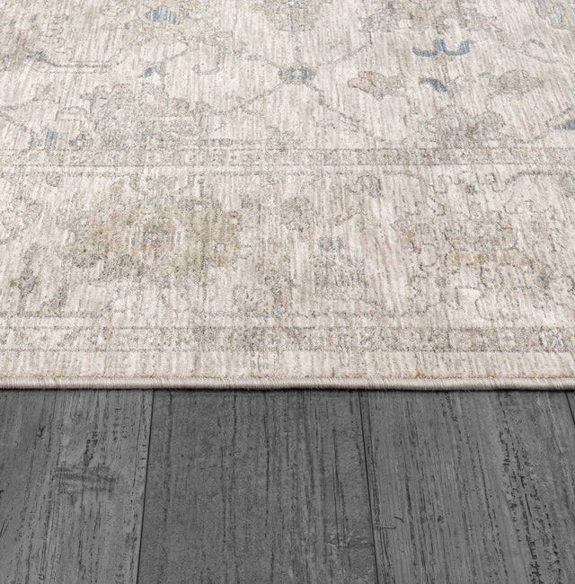 Dynamic Rugs Dharma 12042 Power Loomed Transitional Ivory/Beige Rug