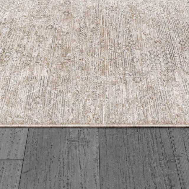 Dynamic Rugs Dharma 12043 Power Loomed Transitional Beige/Multi Rug