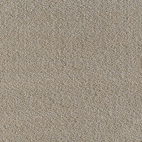 Dynamic Rugs Silky Shag 5900 Beige Rugs.