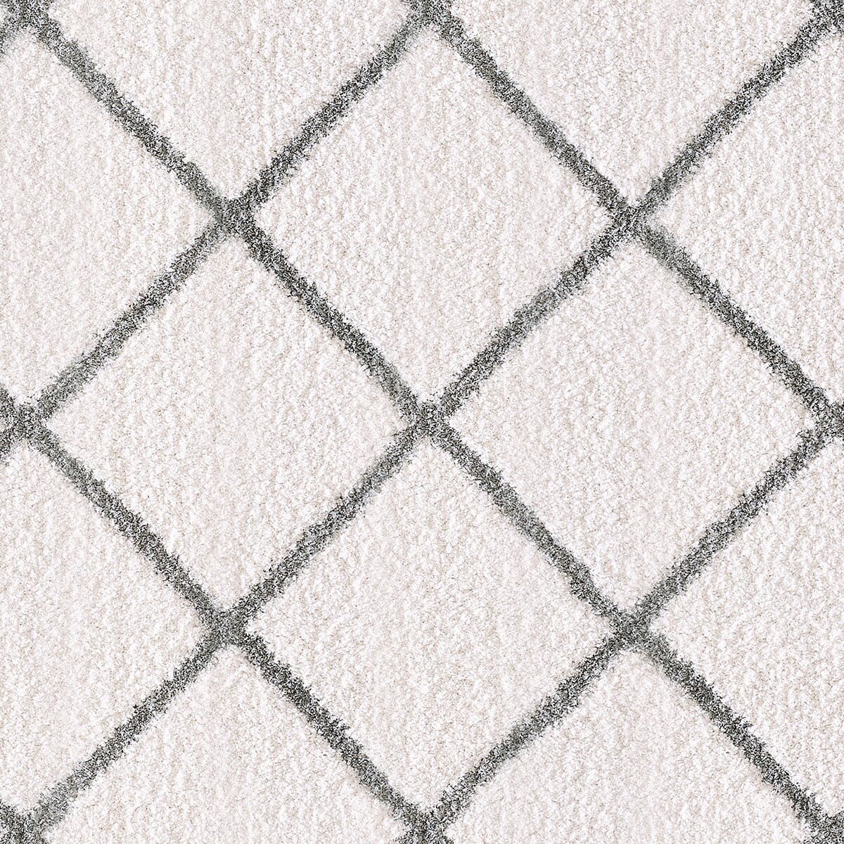 Dynamic Rugs Silky Shag 5920 Ivory / Silver Rugs.