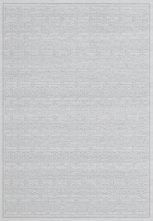 Dynamic Rugs Timeless 6930 Power Loomed Modern Grey Rug