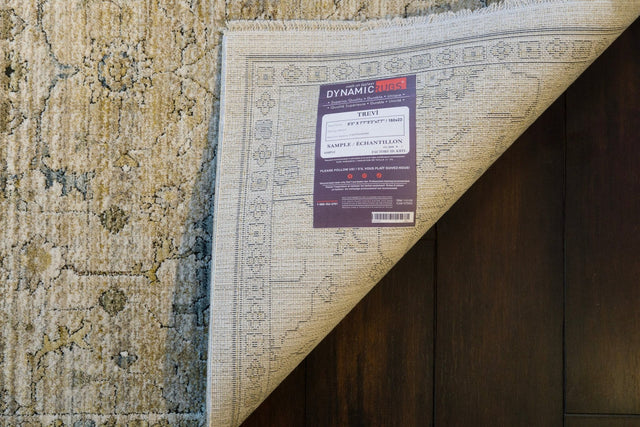 Dynamic Rugs Trevi 13251 Power Loomed Transitional Cream/Beige Rug