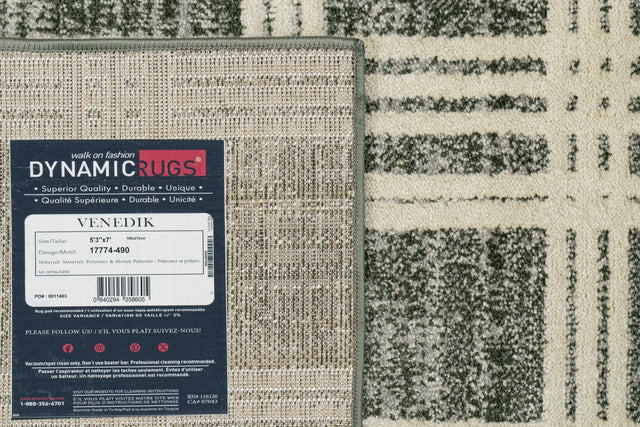 Dynamic Rugs Venedik 17774 Power Loomed Modern Green/Grey Rug