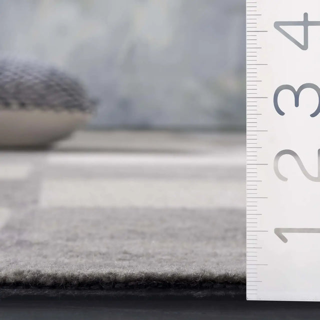 Safavieh Ebony 4'-0" x 6'-0" Rug in Ivory / Grey