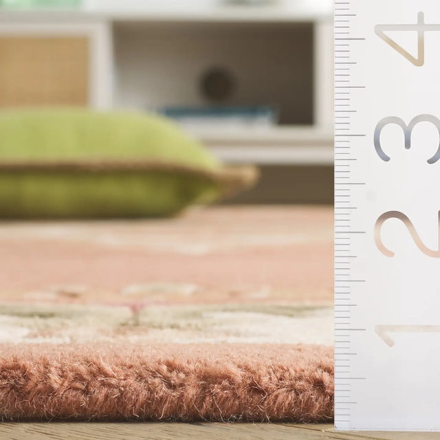 Safavieh Aubusson 4'-0" x 6'-0" Rug in Peach / Ivory