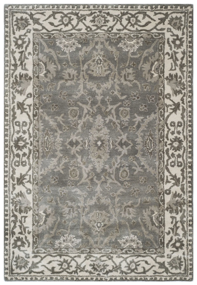 Safavieh Royalty 4'-0" x 6'-0" Rug in Grey / Cream