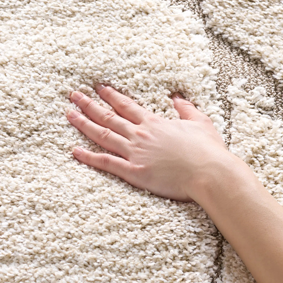 Safavieh Florida Shag 3'-3" x 5'-3" Rug in Cream / Beige