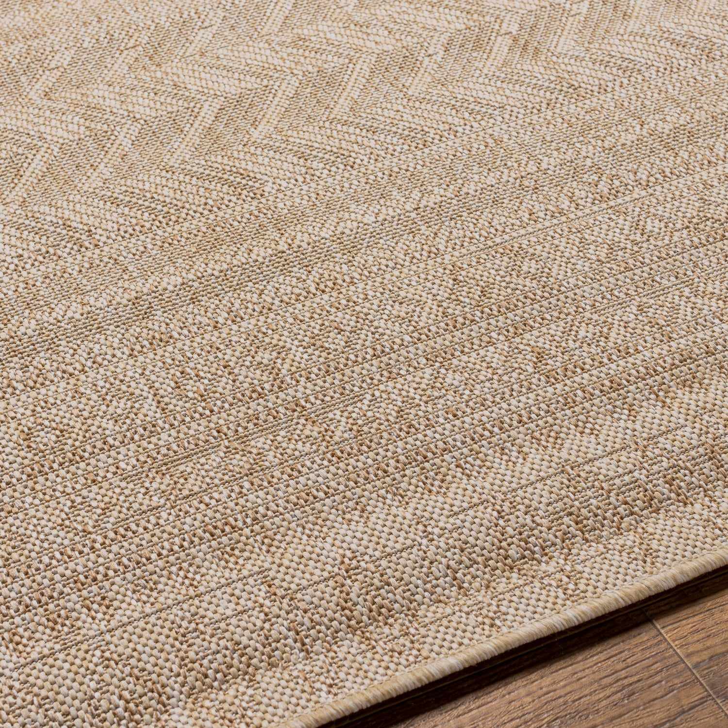 Surya Eagean Eag-2411 Light Beige, Cream, Light Brown, Brown Rug.