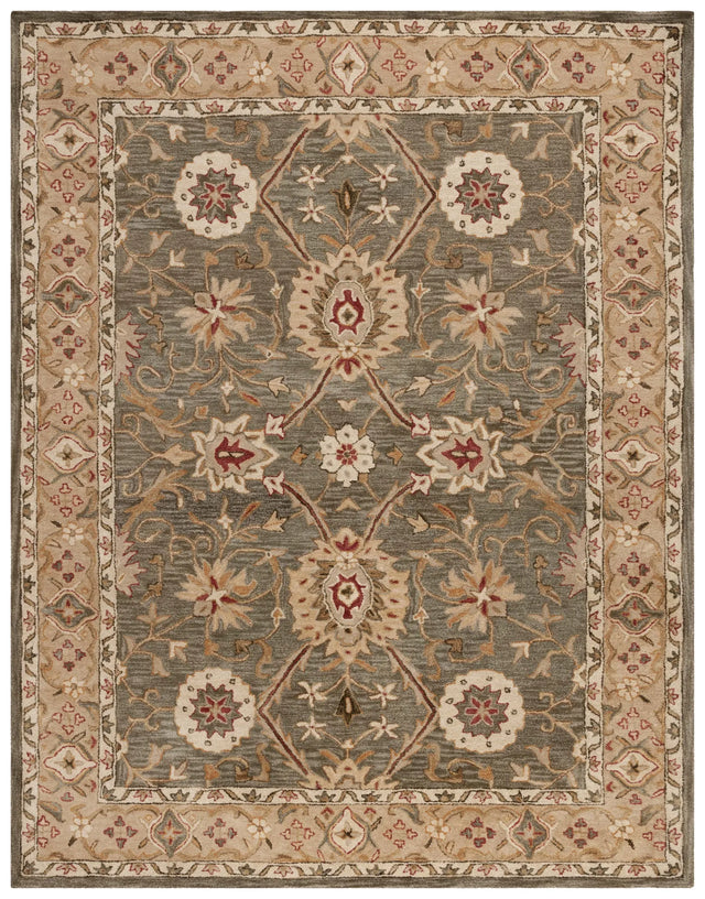 Safavieh Anatolia 9'-6" x 13'-6" Rug in Brown / Ivory