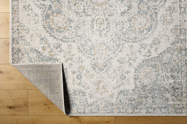 Surya Elaziz Elz-2370 Cream, Light Beige, Medium Gray, Blue, Charcoal, Amber Rug.