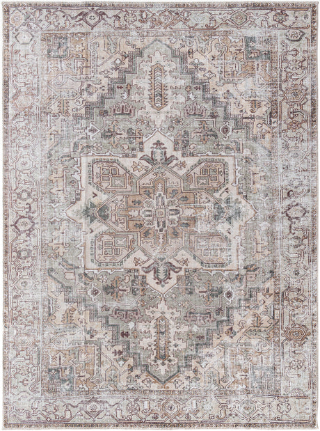 Surya Embrace Ema-2308 Light Beige, Sage, Light Brown, Light Gray, Ivory, Burgandy Rug.