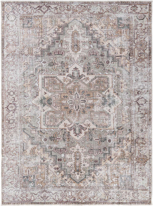 Surya Embrace Ema-2308 Light Beige, Sage, Light Brown, Light Gray, Ivory, Burgandy Rug.