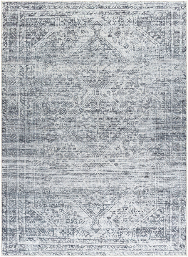 Surya Embrace Ema-2312 Metallic - Silver, Light Grey, Silver, Pewter, Slate Rug.