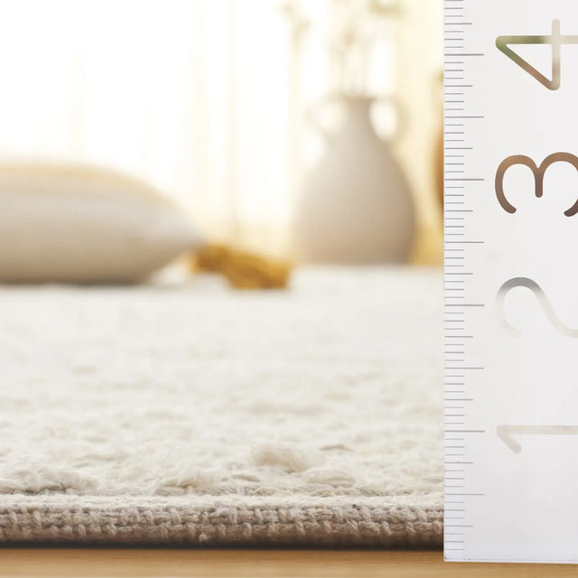 Safavieh Natura 4'-0" x 6'-0" Rug in Beige / Ivory