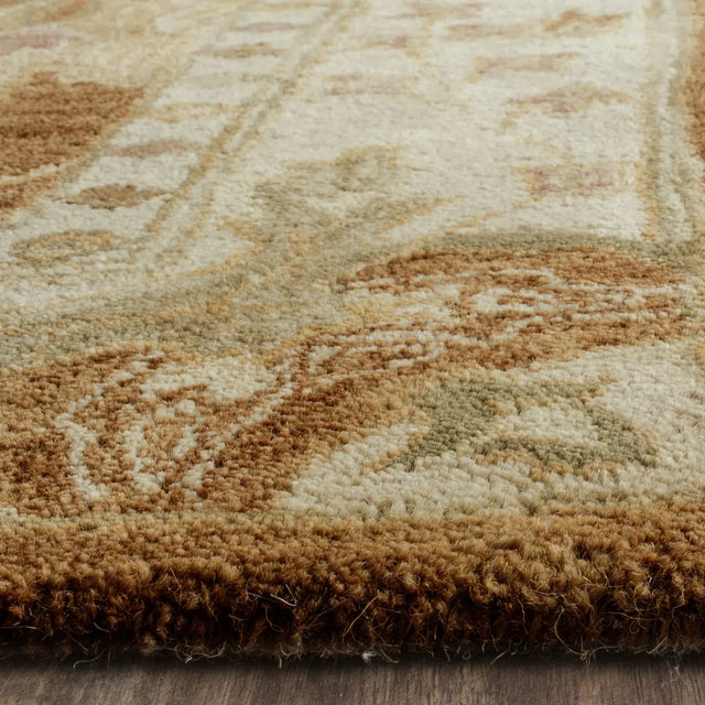 Safavieh Antiquity 4'-0" x 6'-0" Rug in Brown / Beige