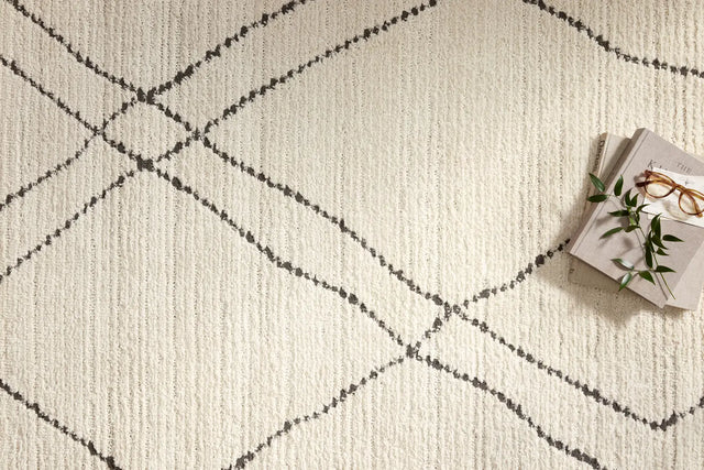 Loloi Fabian Fab-02 Ivory/Charcoal Rug - styled aerial 1