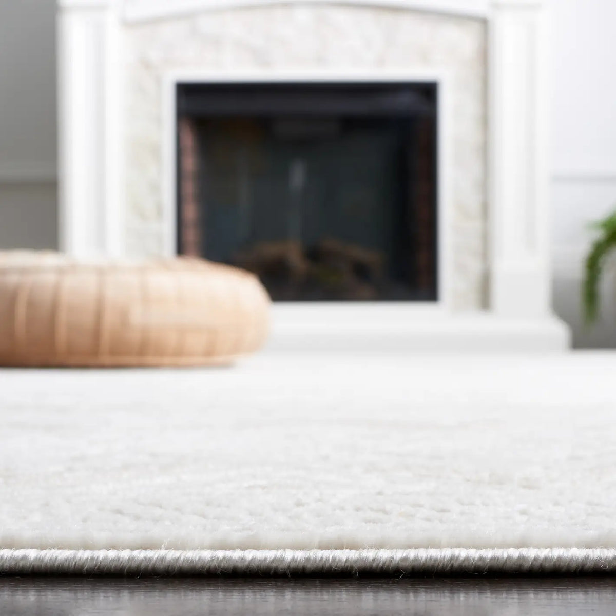 Safavieh Hanna 4'-0" x 6'-0" Rug in Ivory / Beige