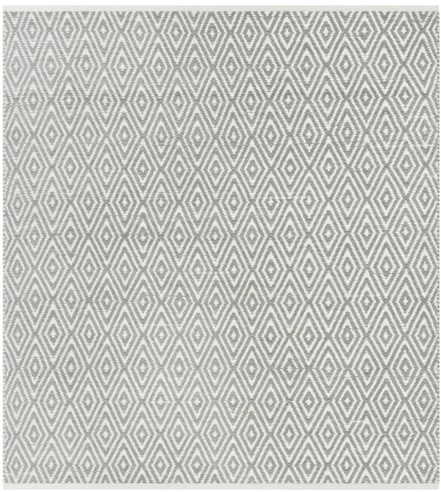 Safavieh Boston 4'-0" x 4'-0" Rug in Grey