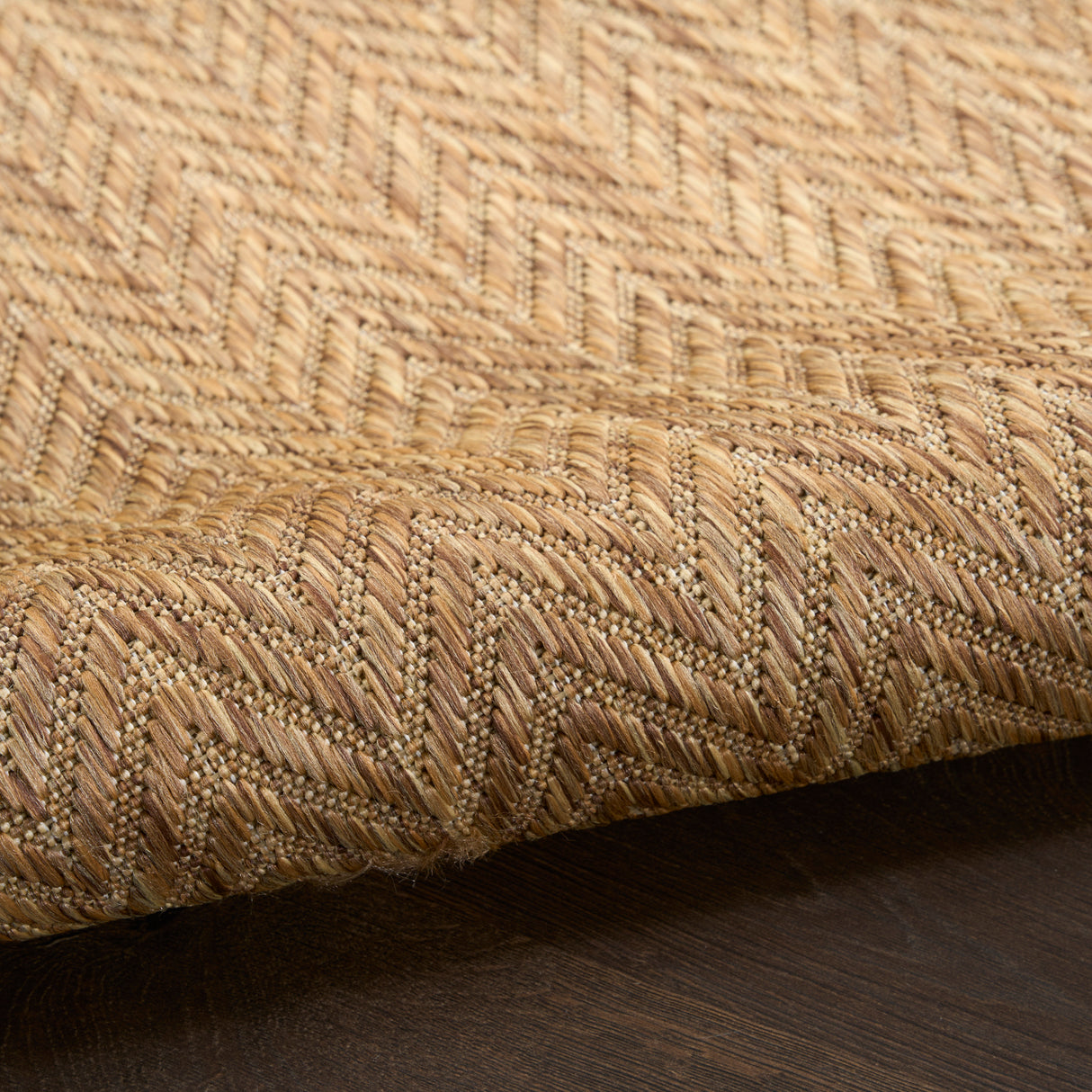 Nourison Horizon Indoor/Outdoor HOZ02 Natural Contemporary Area Rugs