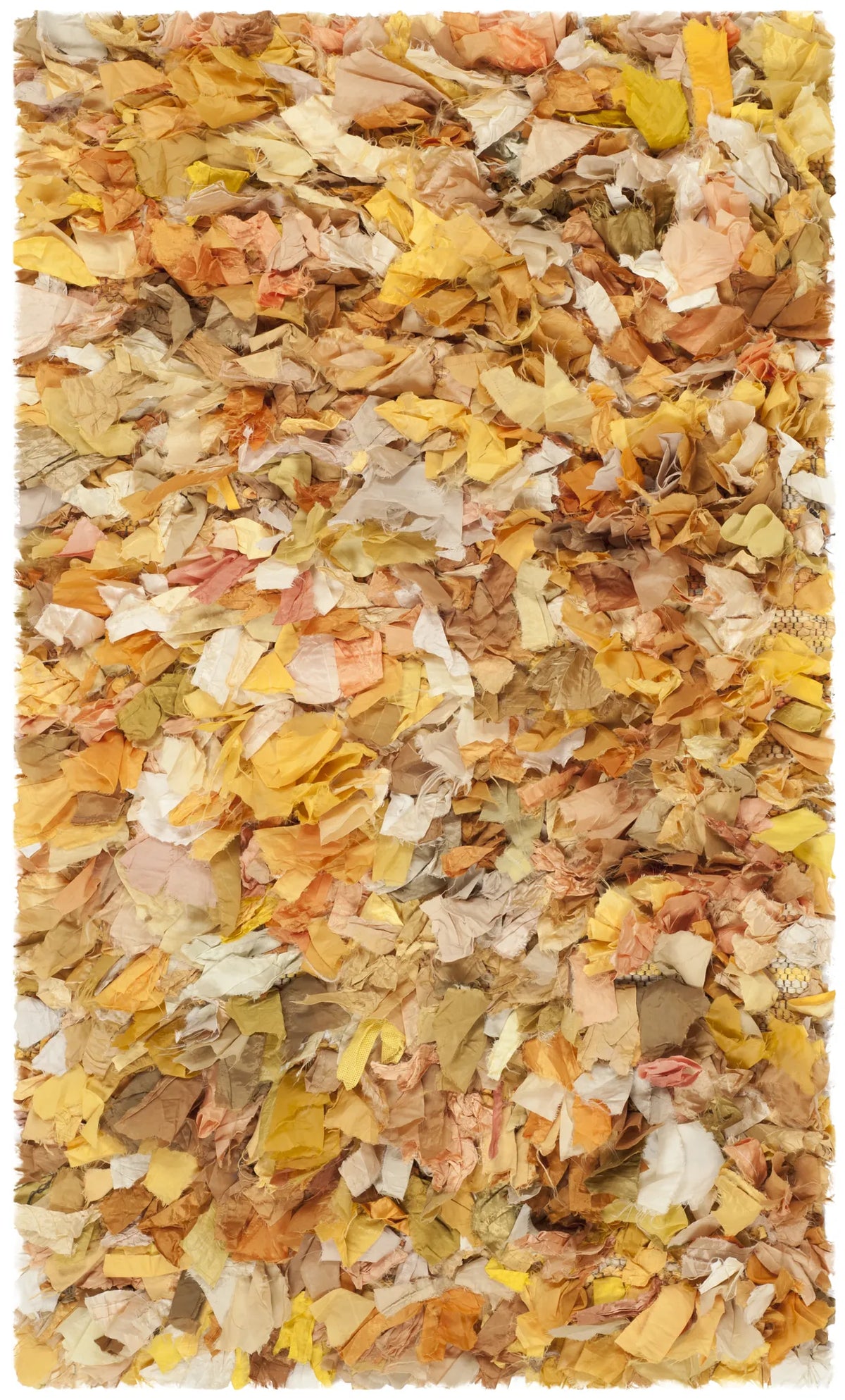 Safavieh Rio Shag 2'-6" x 4'-0" Rug in Gold / Multi
