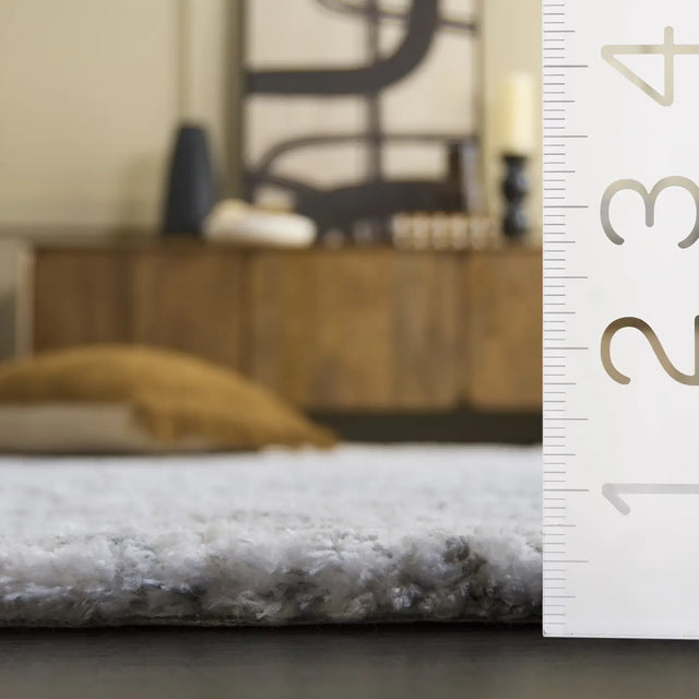 Safavieh Glory Shag 4'-0" x 6'-0" Rug in Ivory / Light Blue