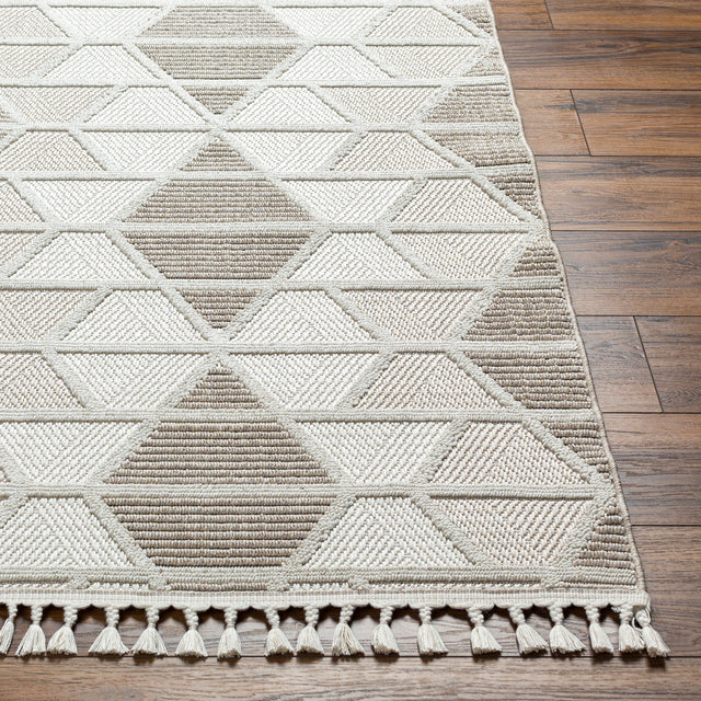Surya Finland Fnd-2301 Cream, Off-White Rug.