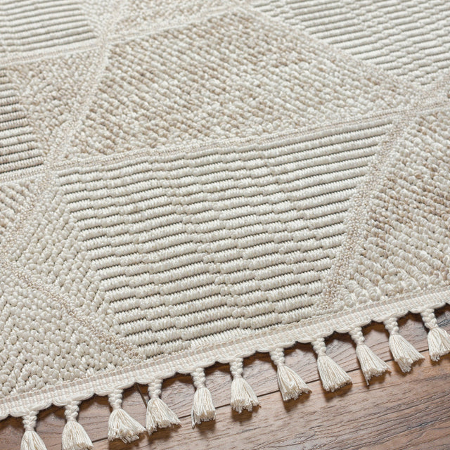 Surya Finland Fnd-2302 Cream, Off-White Rug.