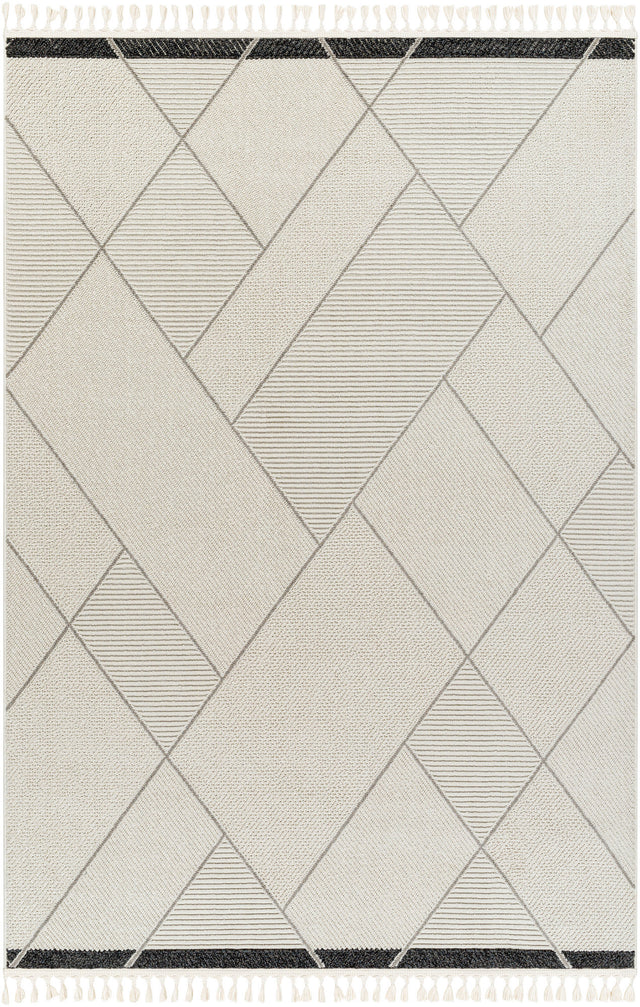 Surya Finland Fnd-2303 Cream, Black Rug.