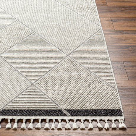Surya Finland Fnd-2303 Cream, Black Rug.