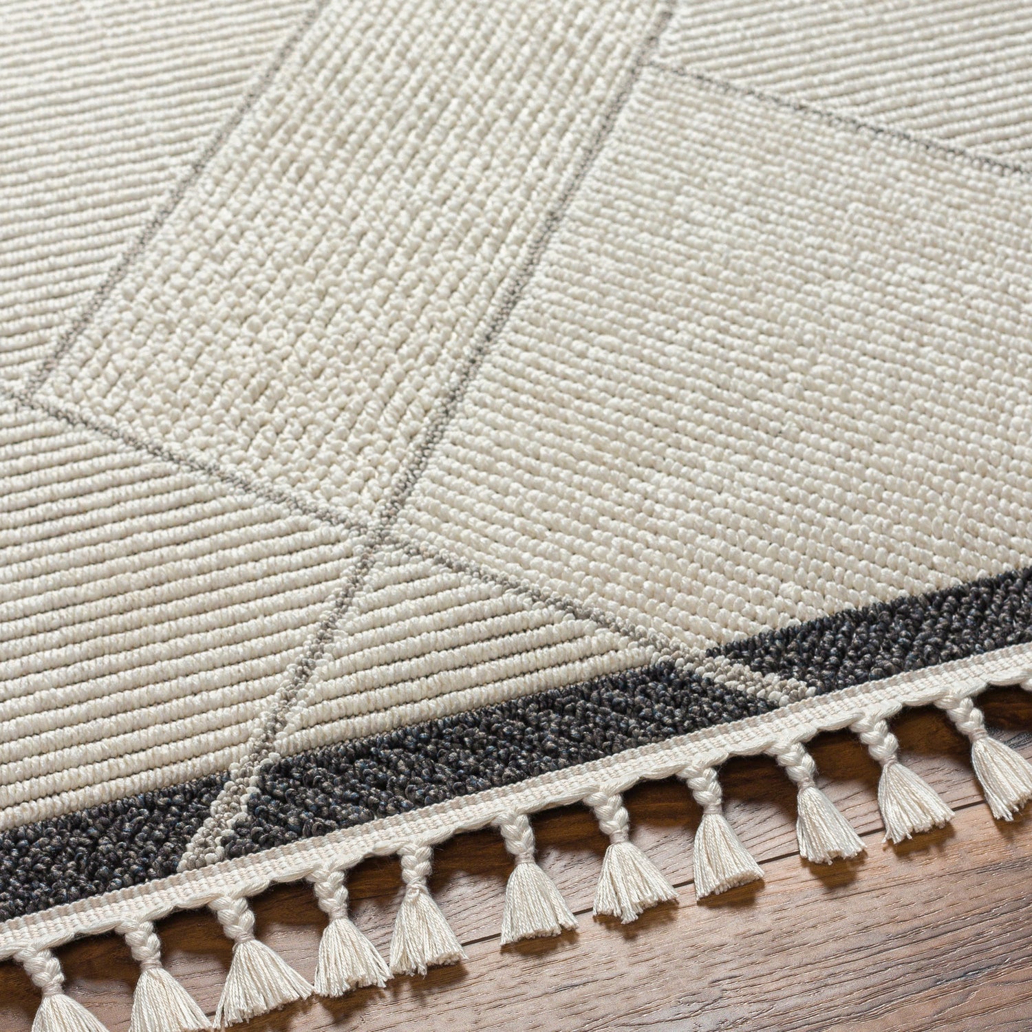 Surya Finland Fnd-2303 Cream, Black Rug.