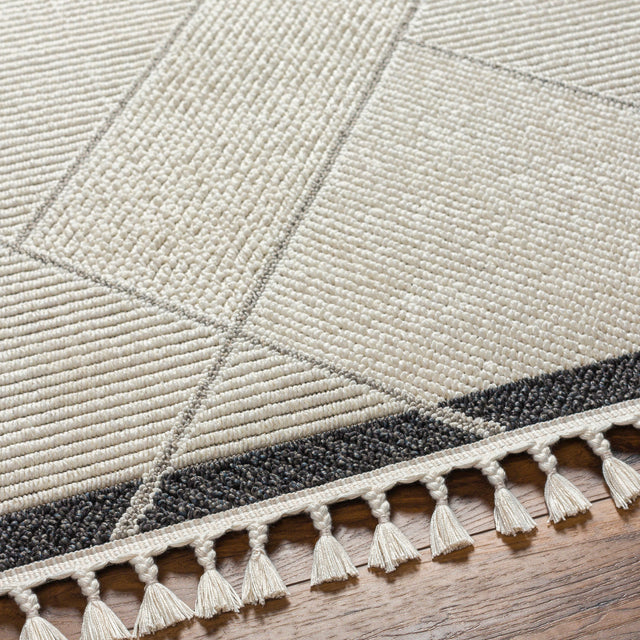 Surya Finland Fnd-2303 Cream, Black Rug.